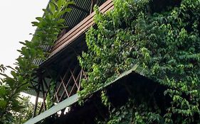 Paraiso Ayahuasca Hotel & Tours