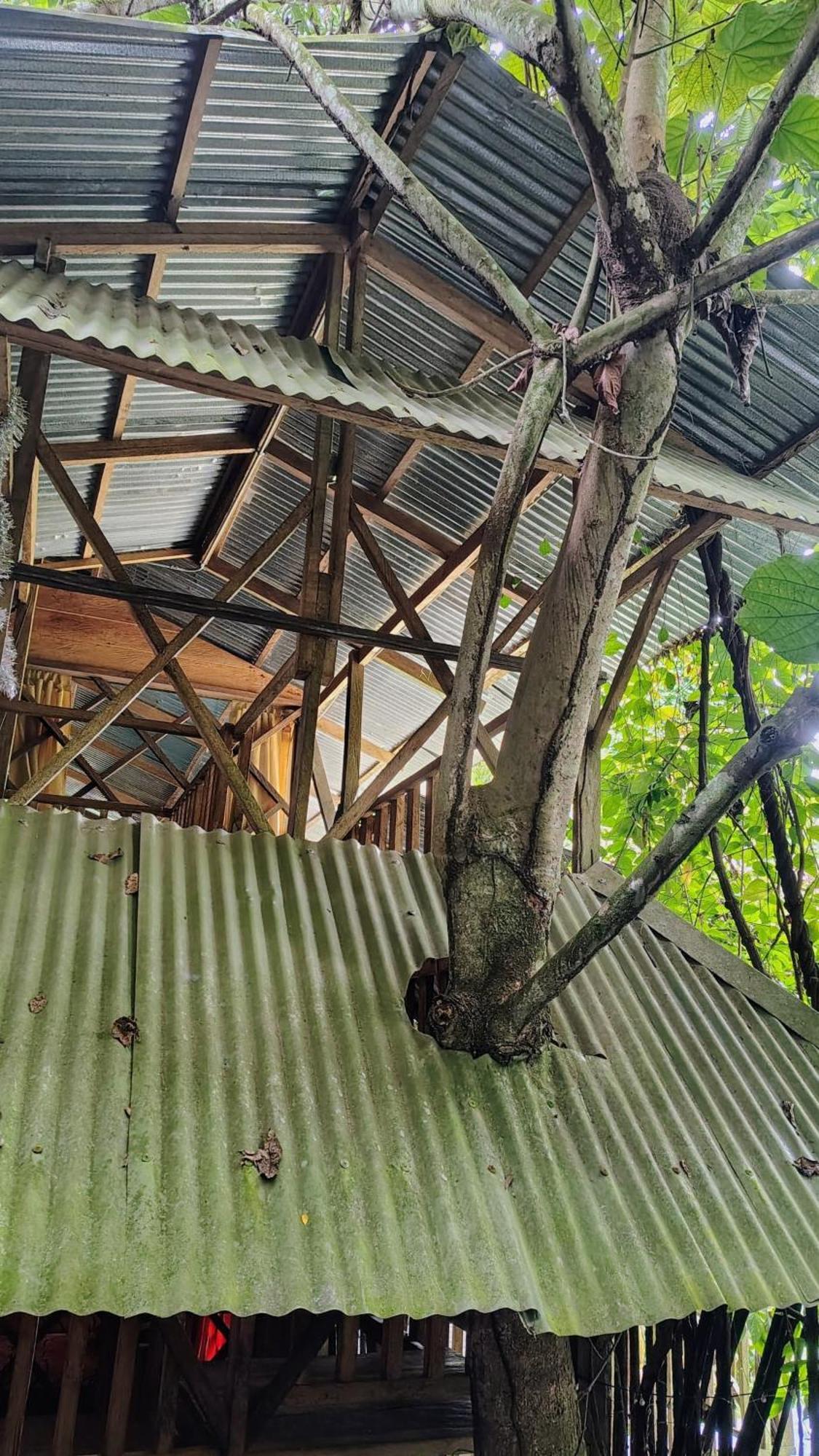 Paraiso Ayahuasca Hotel & Tours Puerto Nariño Exterior foto