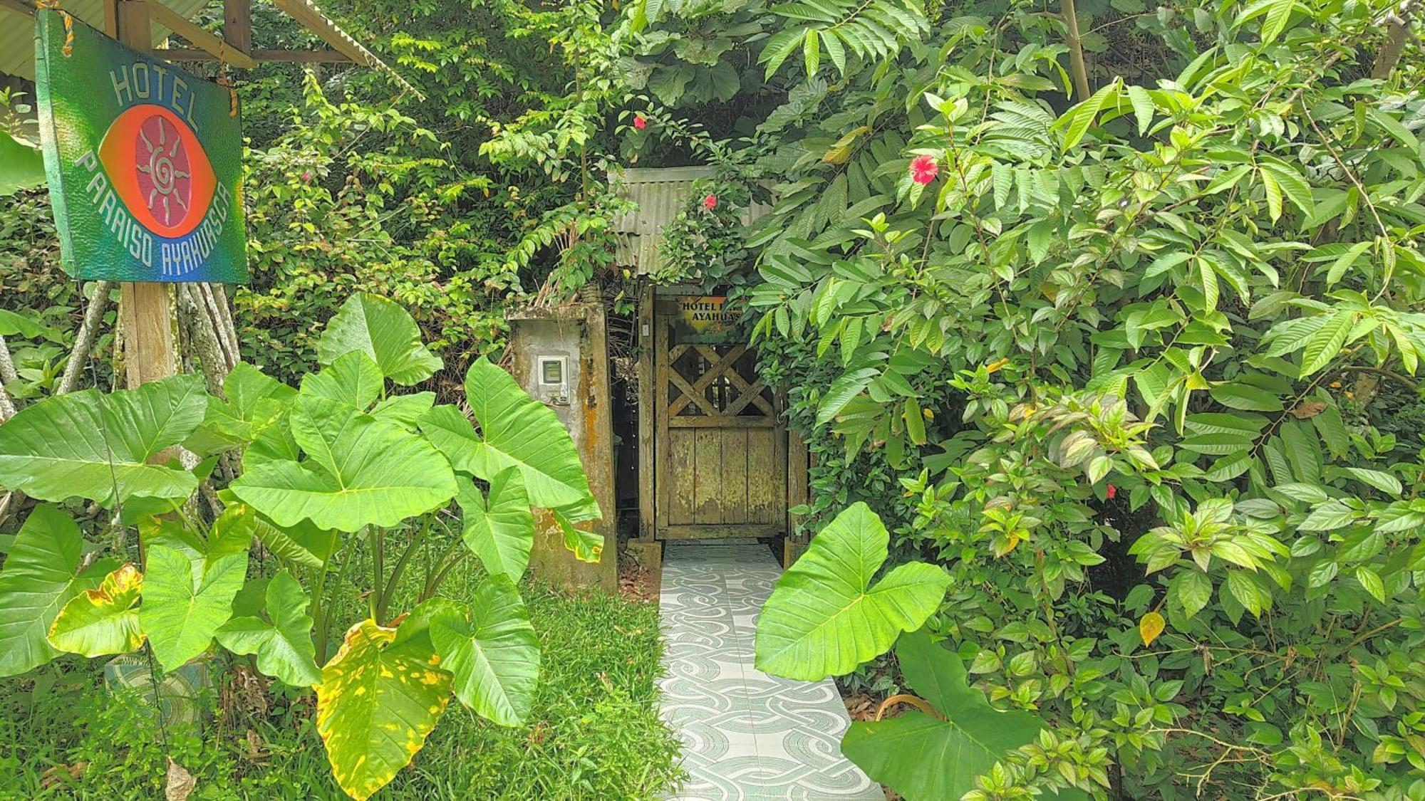 Paraiso Ayahuasca Hotel & Tours Puerto Nariño Exterior foto