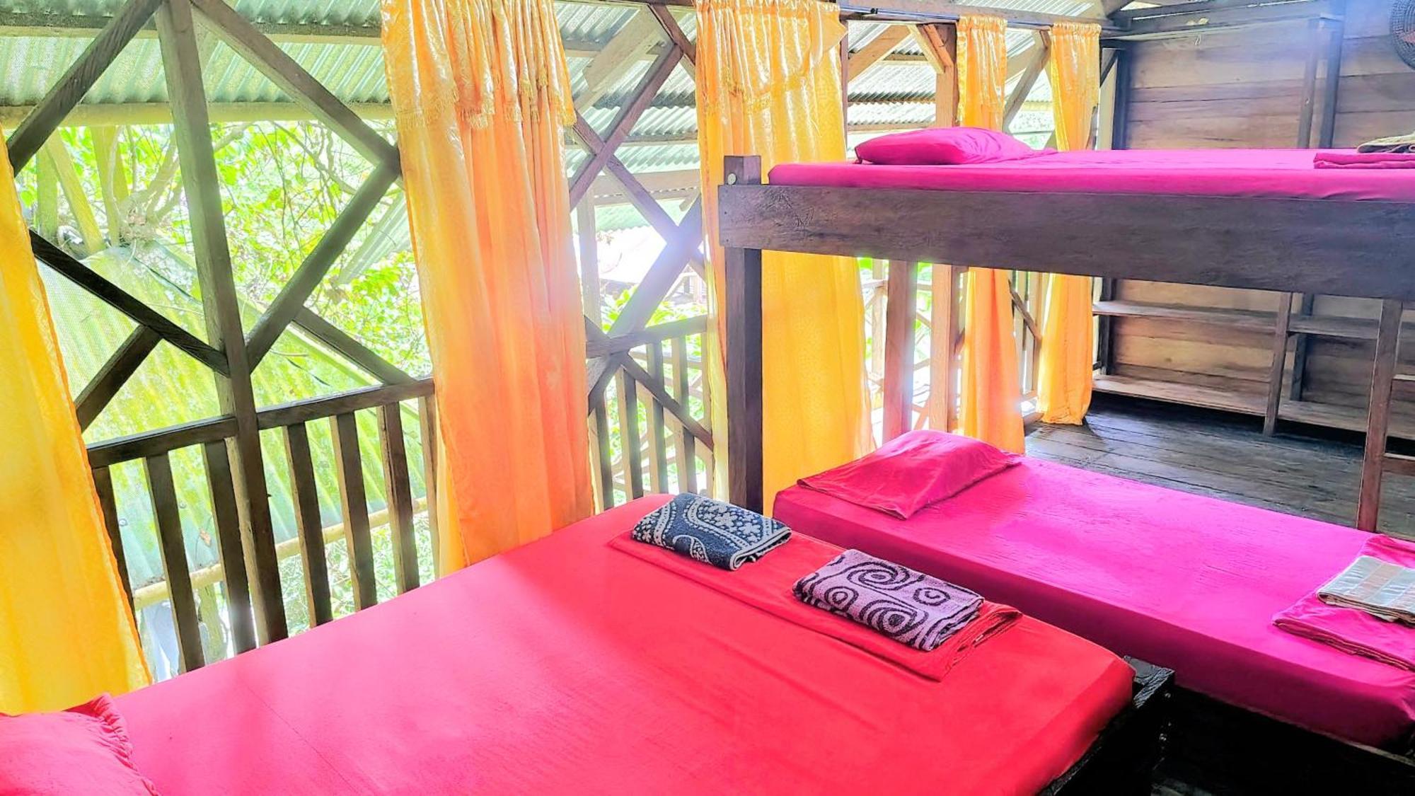 Paraiso Ayahuasca Hotel & Tours Puerto Nariño Habitación foto