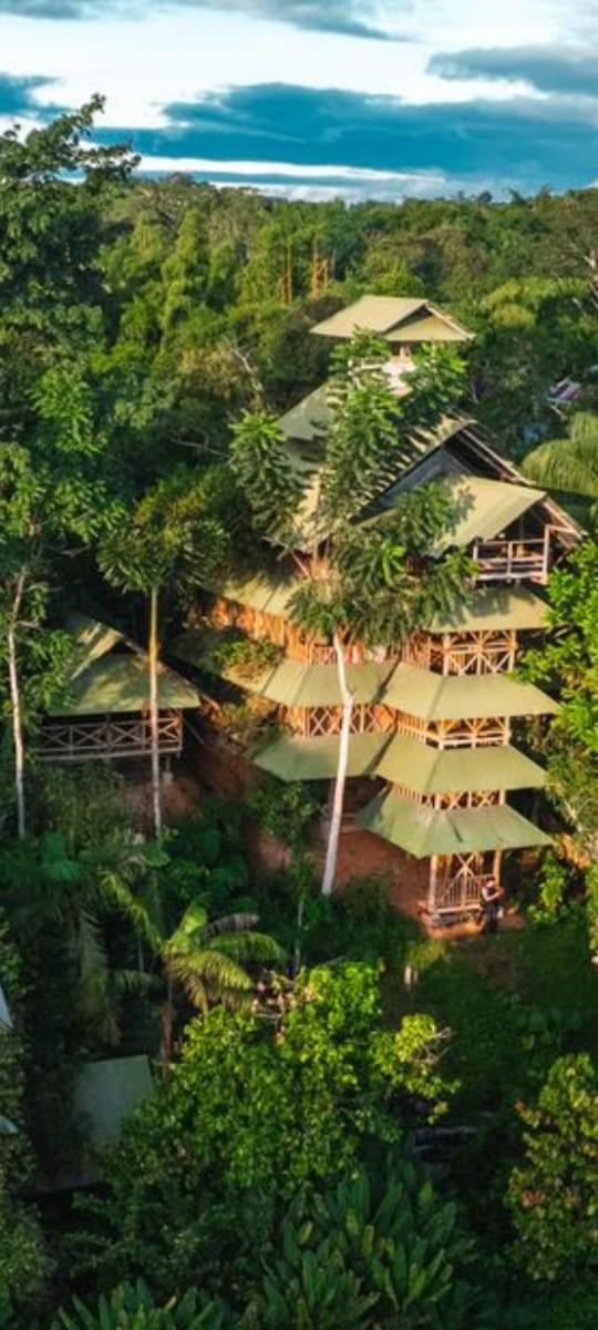 Paraiso Ayahuasca Hotel & Tours Puerto Nariño Exterior foto