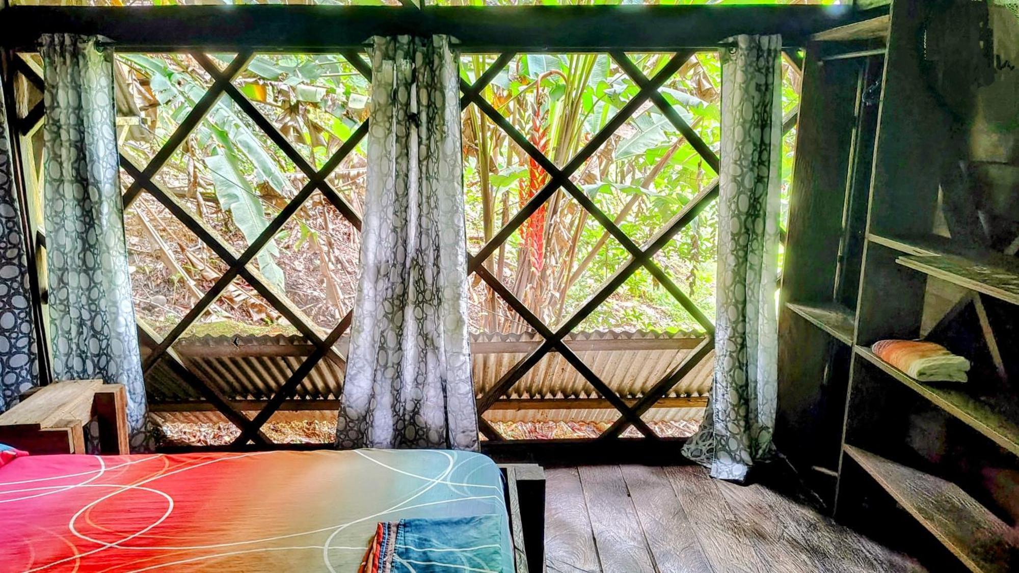 Paraiso Ayahuasca Hotel & Tours Puerto Nariño Exterior foto