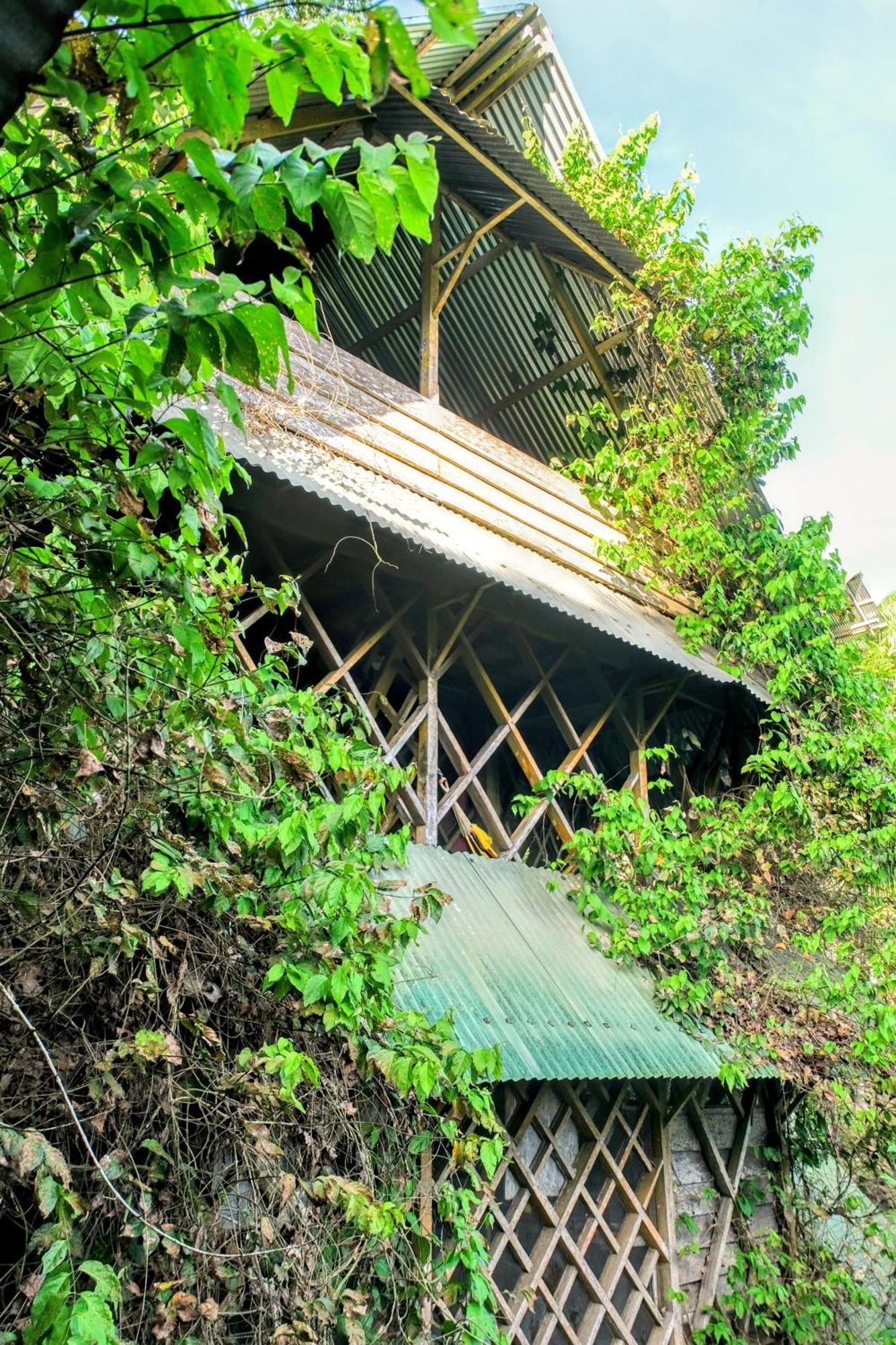 Paraiso Ayahuasca Hotel & Tours Puerto Nariño Exterior foto