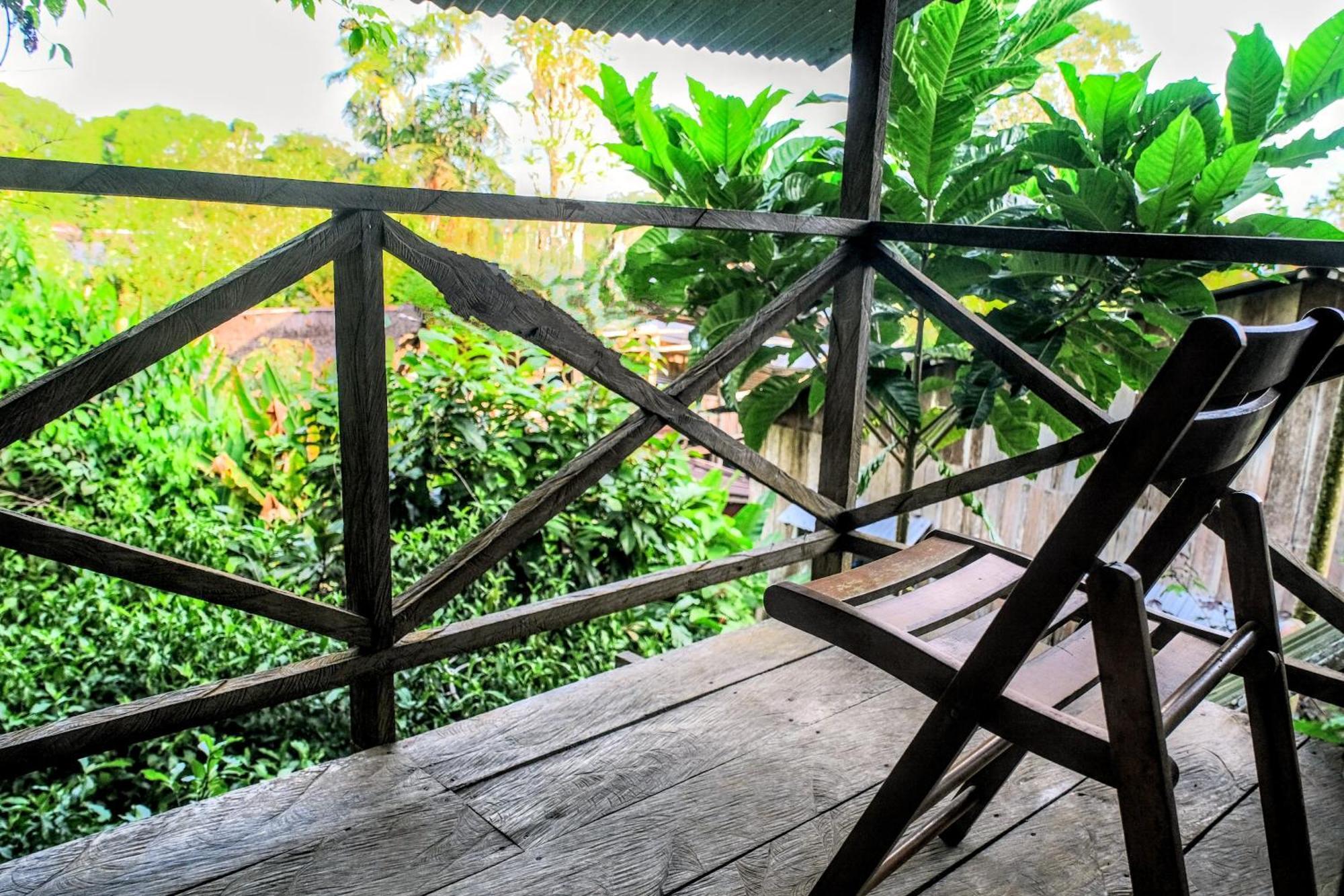 Paraiso Ayahuasca Hotel & Tours Puerto Nariño Exterior foto