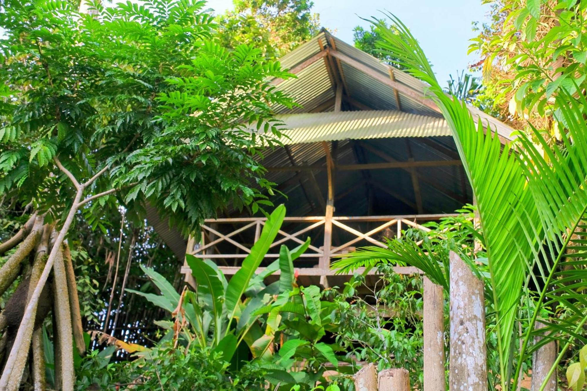 Paraiso Ayahuasca Hotel & Tours Puerto Nariño Exterior foto