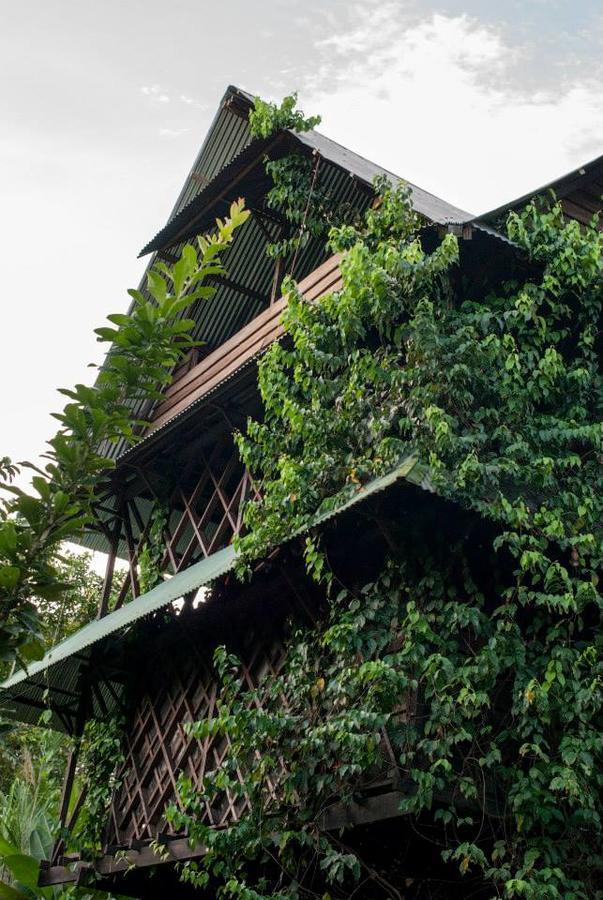 Paraiso Ayahuasca Hotel & Tours Puerto Nariño Exterior foto