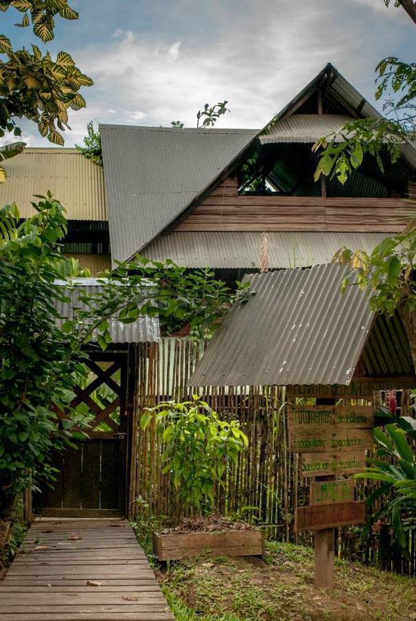 Paraiso Ayahuasca Hotel & Tours Puerto Nariño Exterior foto