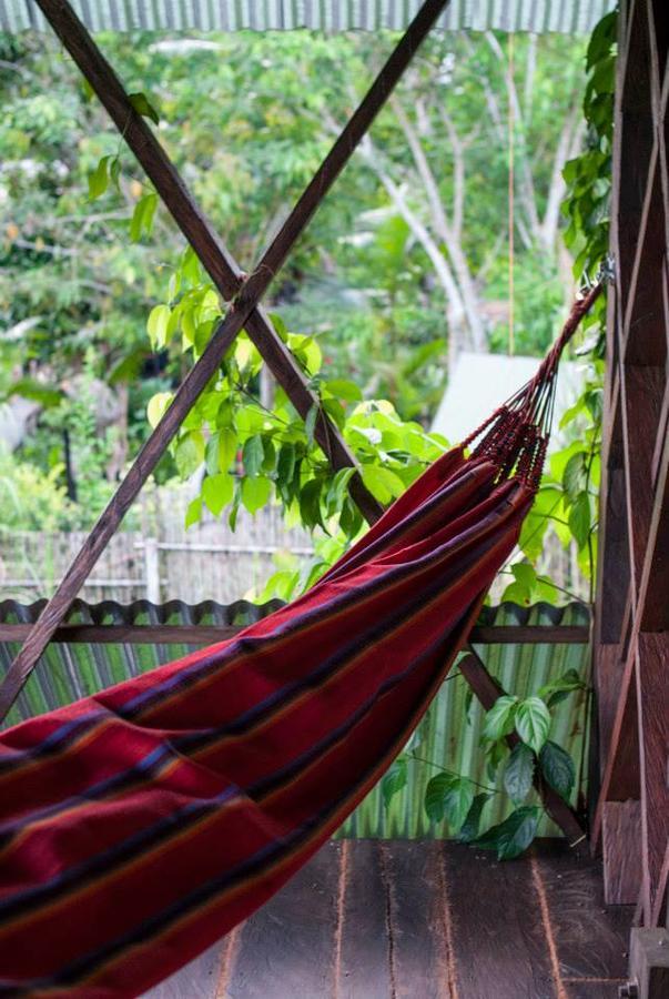 Paraiso Ayahuasca Hotel & Tours Puerto Nariño Exterior foto