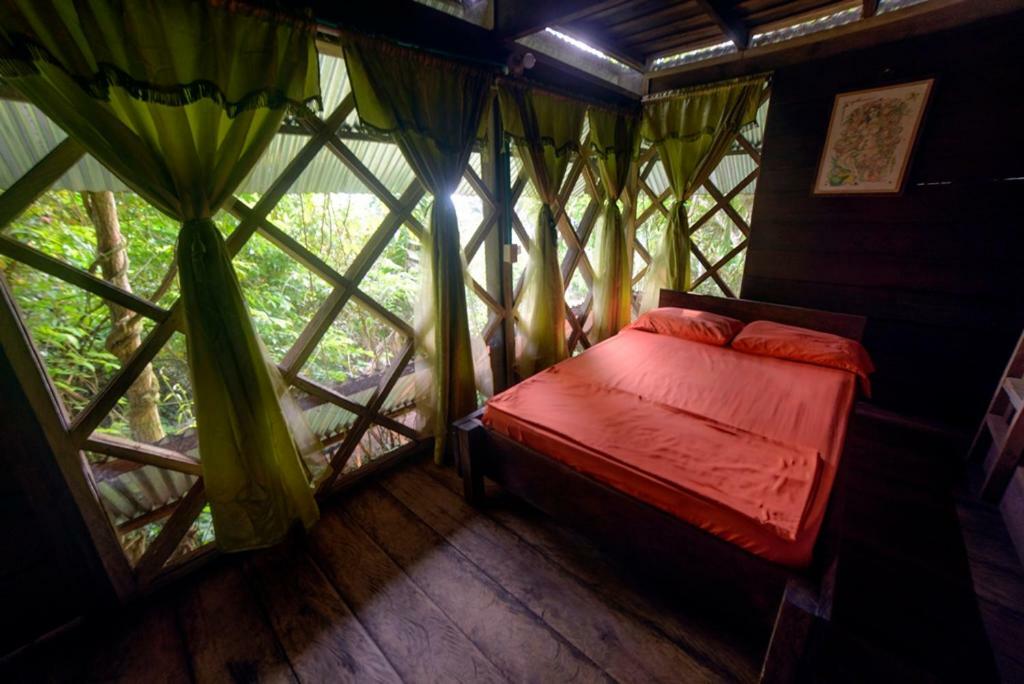 Paraiso Ayahuasca Hotel & Tours Puerto Nariño Exterior foto