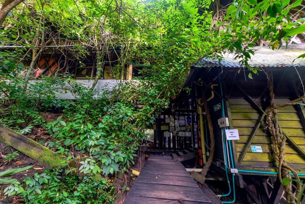 Paraiso Ayahuasca Hotel & Tours Puerto Nariño Exterior foto
